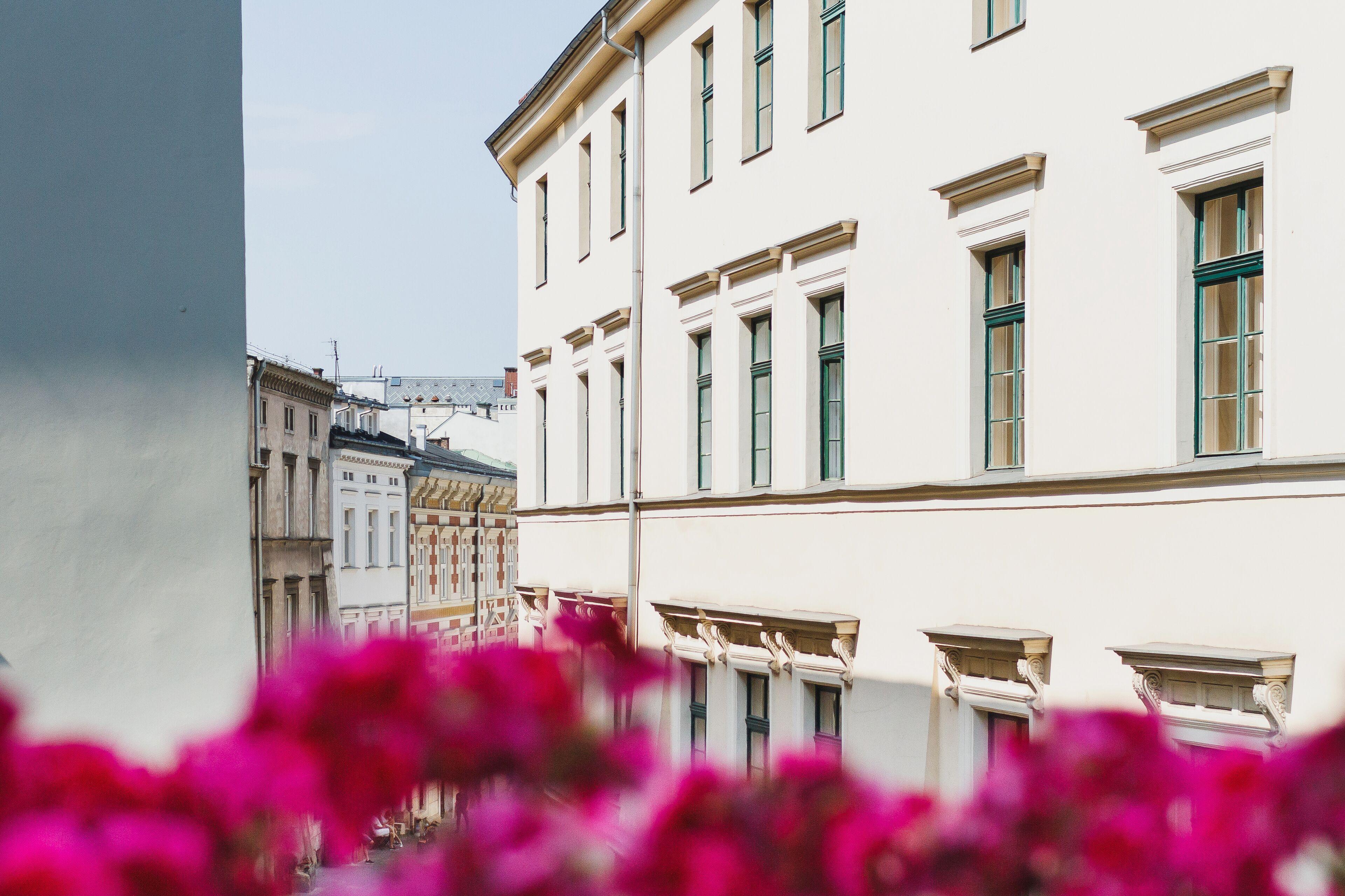 Apartamenty Bracka 6 — Photos 2